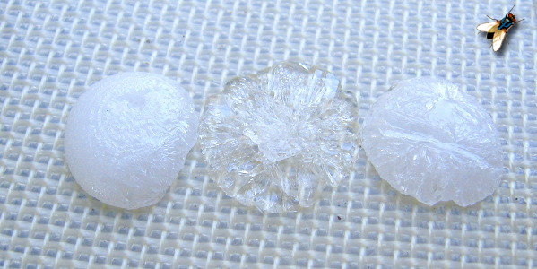 Different Xylitol Textures